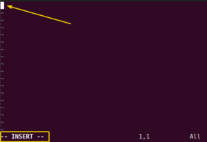 The “vim” Command in Linux [8 Practical Examples]
