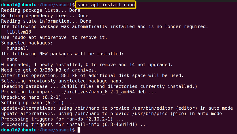 Installing the nano package with the new root user.