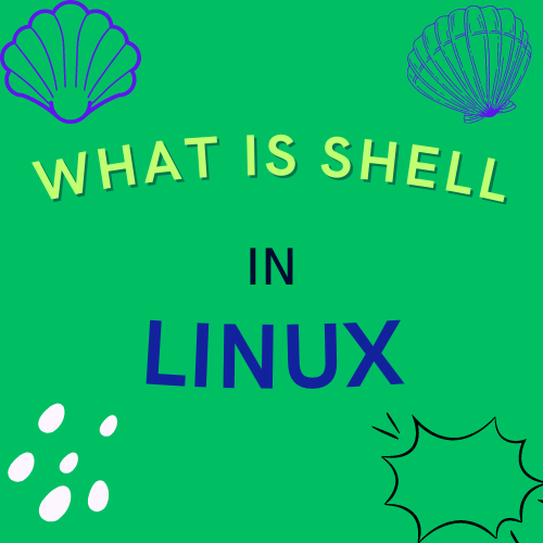 what is a shell linux