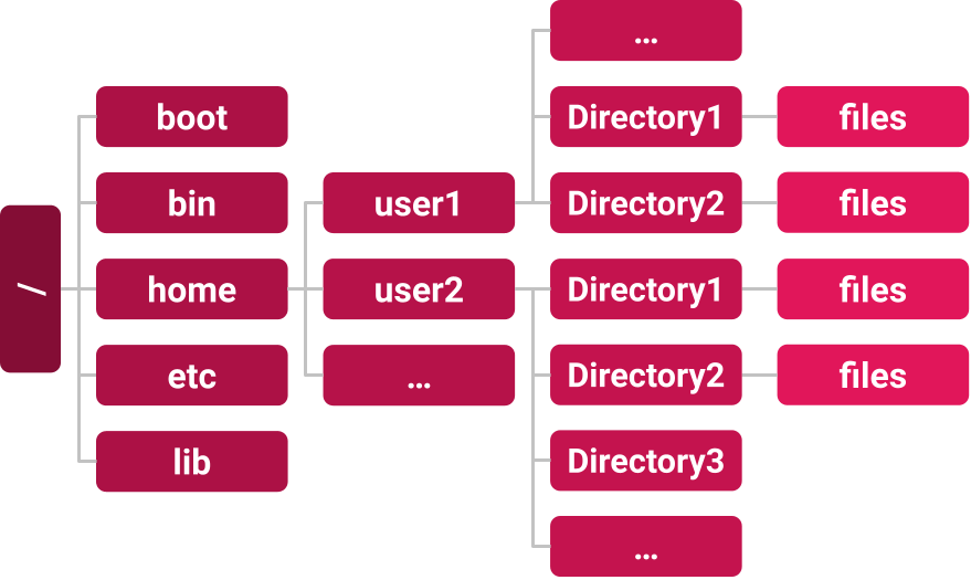 File system of the Unix OS.