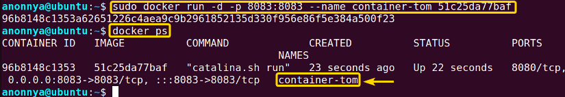 Create a new docker container and then list available containers.