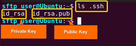 Showing private key and public key 