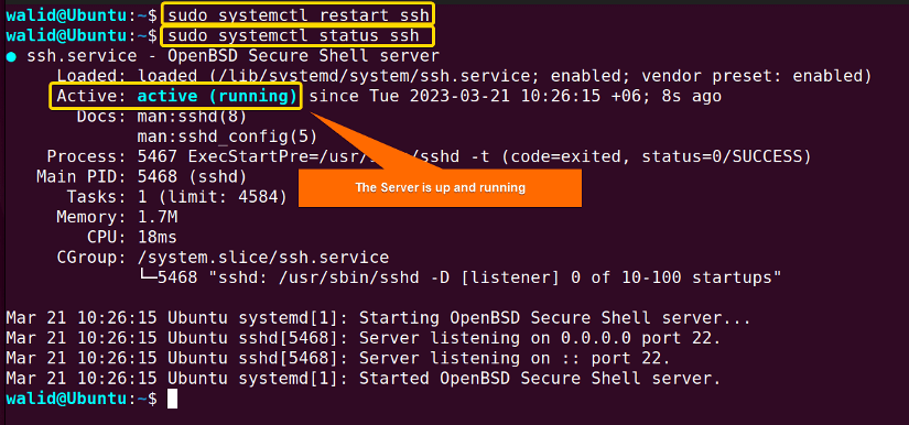 Restarting and viewing the server's status for how to create a new sftp user with a new ssh key in ubuntu 