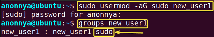Adding user to sudo group.