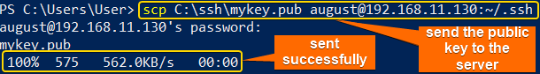 send the public key to the server