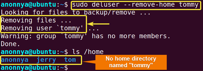 Deleting user with home directory 