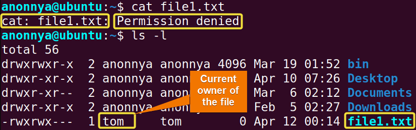 File permission denied in Linux.