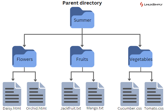diagram of Recursive Change Directories and Files with “chmod”