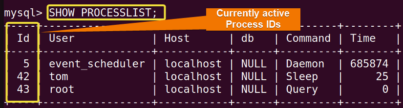 Listing running process ID inside MySQL server.