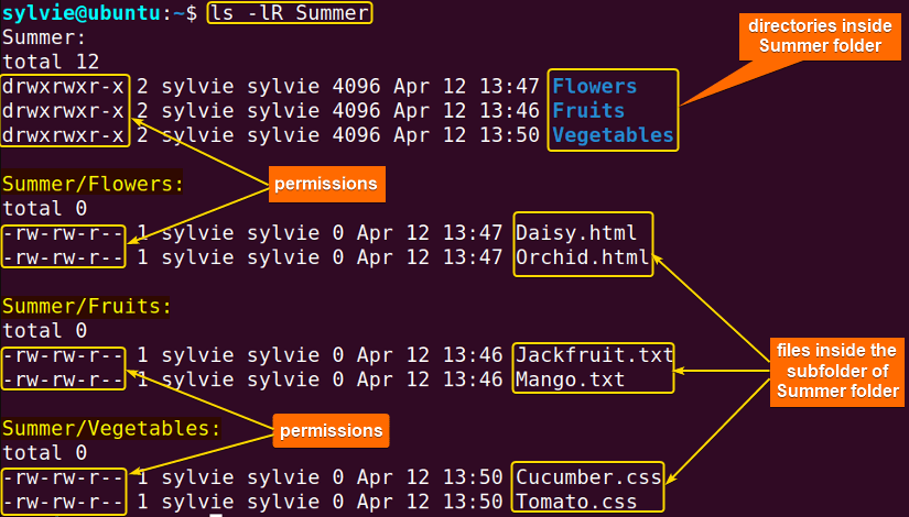 view current permissions of chmod recursive directories and files