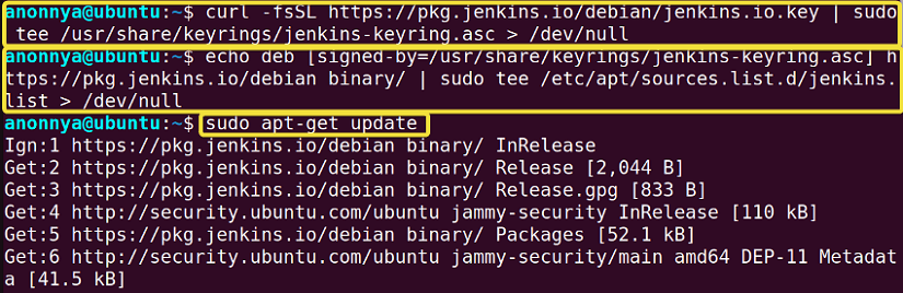 Download and update packages for installing Jenkins in Ubuntu.