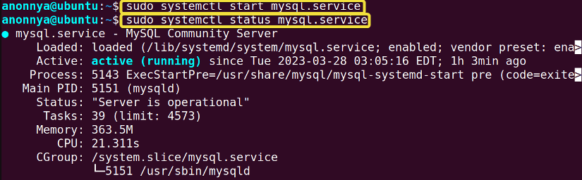 Staring and checking MySQL server in ubuntu.