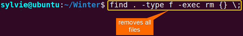 remove all files in current directory linux