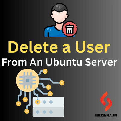 ubuntu server delete user