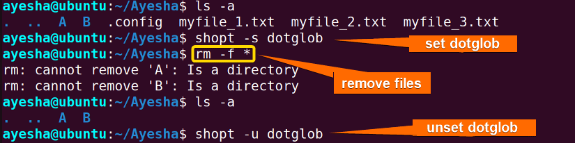 Removing files including hidden files in Linux.