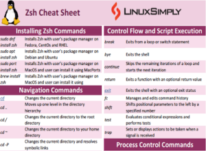 what is zsh bad assignment