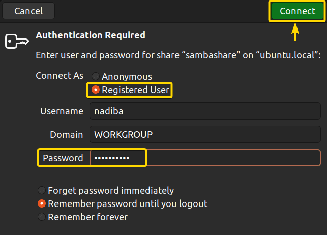 Authenticate via password and connect