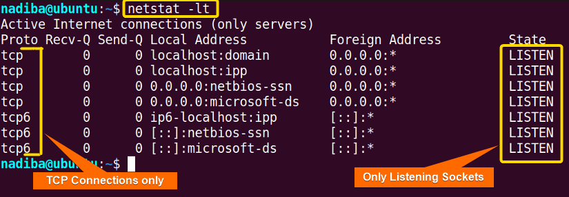 Running 'netstat' command with options in Ubuntu 