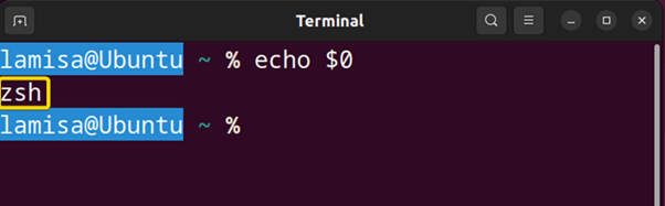 Currently running shell is zsh