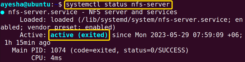 NFS Server status