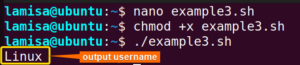 How to Save Bash Output to Variable? [4 Practical Cases]