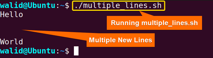 Executing "multiple_lines.sh" script