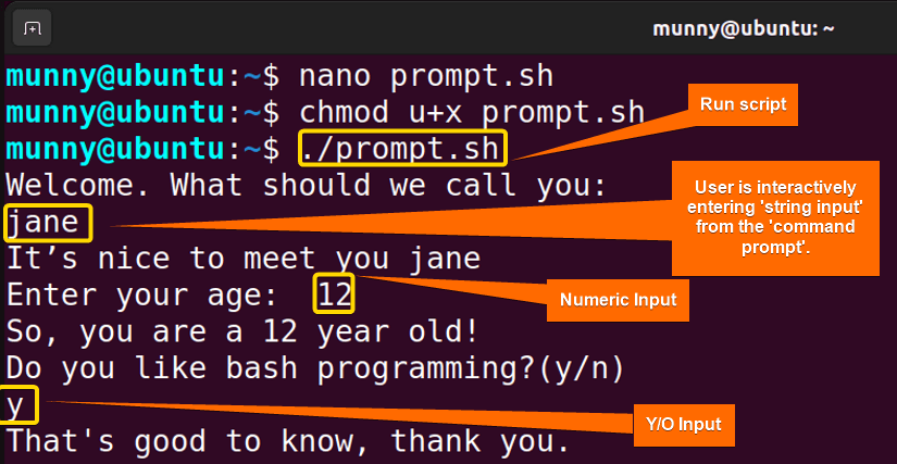 Running bash script for prompt input