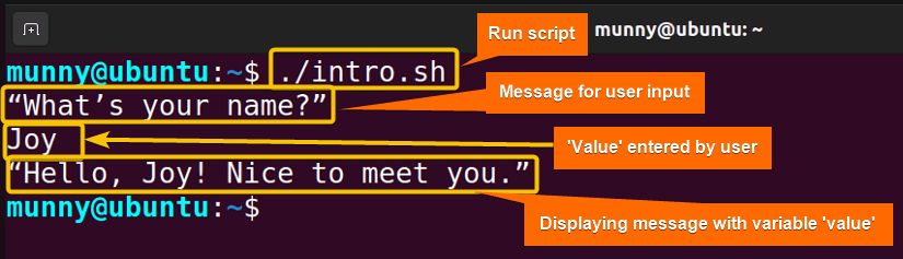 Running Bash script for reading single input