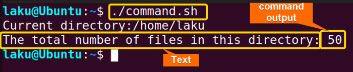 Display text with command output