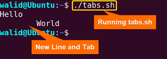 Running "tabs.sh" script for "Bash Echo New Line"