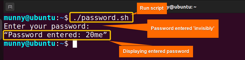 Running bash script for user password input