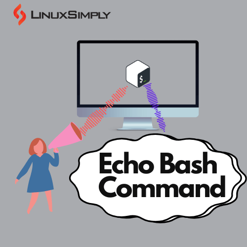echo Bash command