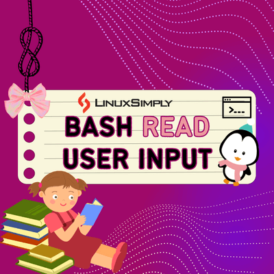 Bash read user input