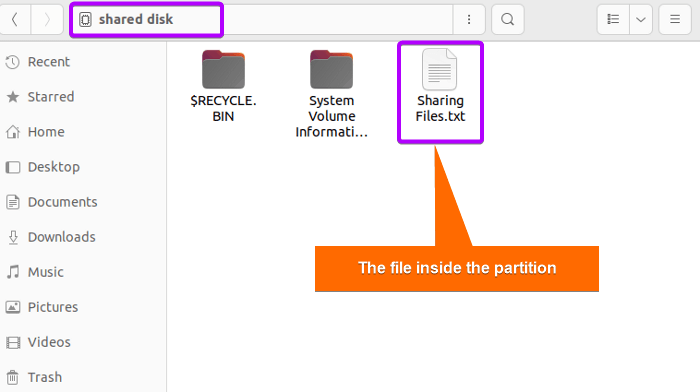 Accessing the file inside the partition from Linux