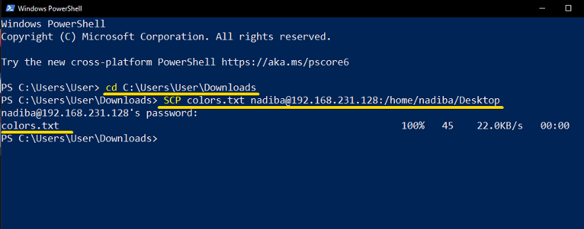 Writing command and copying file from PowerShell