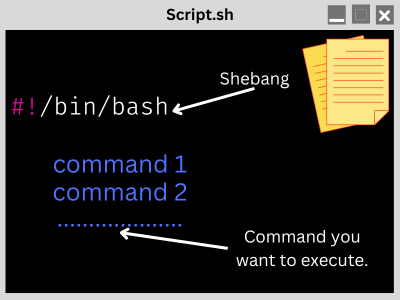 Components of a Bash script