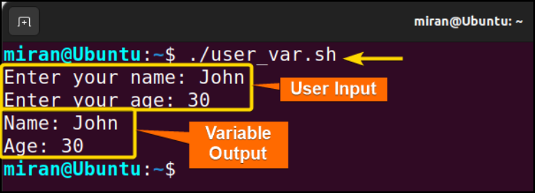 variable assignment linux