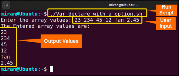 Output image of declaring variable with a option declare variable bash