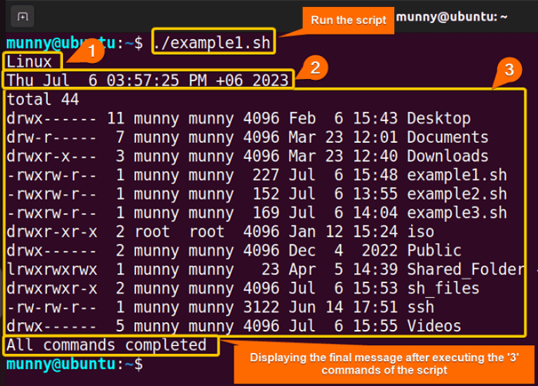 learning-to-use-linux-commands-in-shell-scripts-for-efficiency-and-power-systran-box