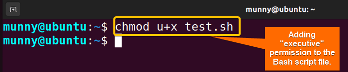 Adding executive permission to the bash script