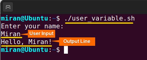 Assigning Value by Taking Input from the User