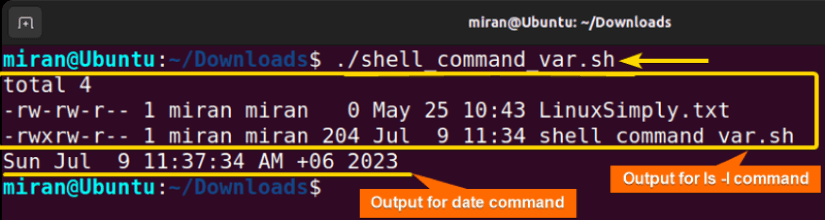 Assigning Shell Command Output to a Variable