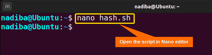 Opening the script in Nano text editor