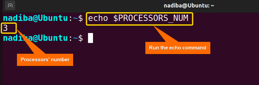 Output showing the number of processors