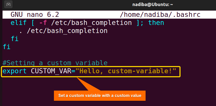 Setting a custom variable including a custom value