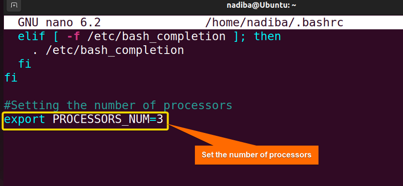 Setting the number of processors