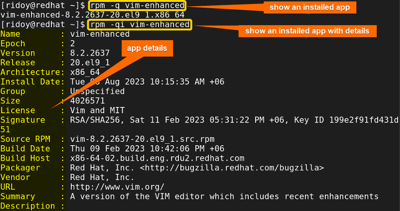 list a specific installed app package in terminal using rpm with app details