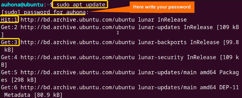 I've updated the package lists and database using sudo apt update command