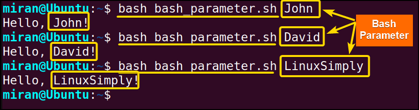 Using Bash Parameter in a script