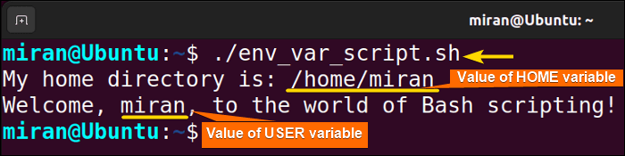 Read Environment Variables in Bash Scripts